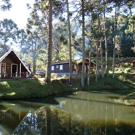 Hotel Fazenda Floresta Negra Monte Verde  Rom bilde