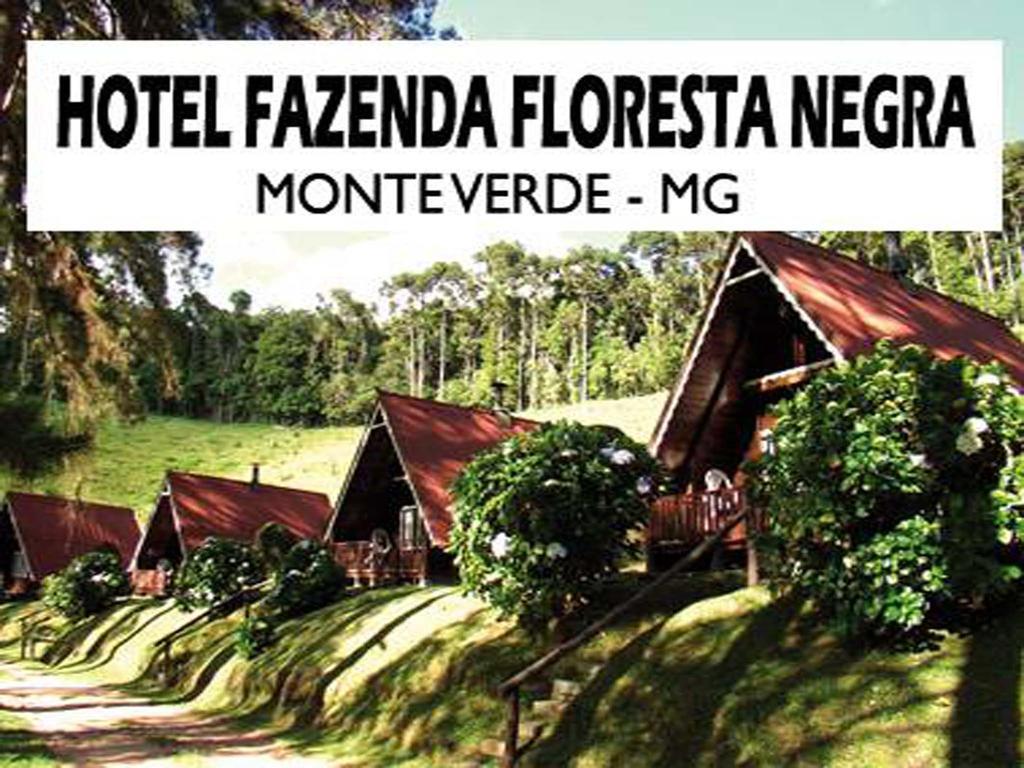 Hotel Fazenda Floresta Negra Monte Verde  Eksteriør bilde