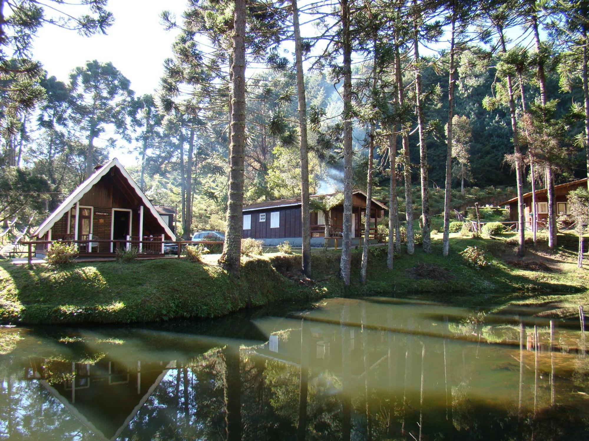 Hotel Fazenda Floresta Negra Monte Verde  Rom bilde
