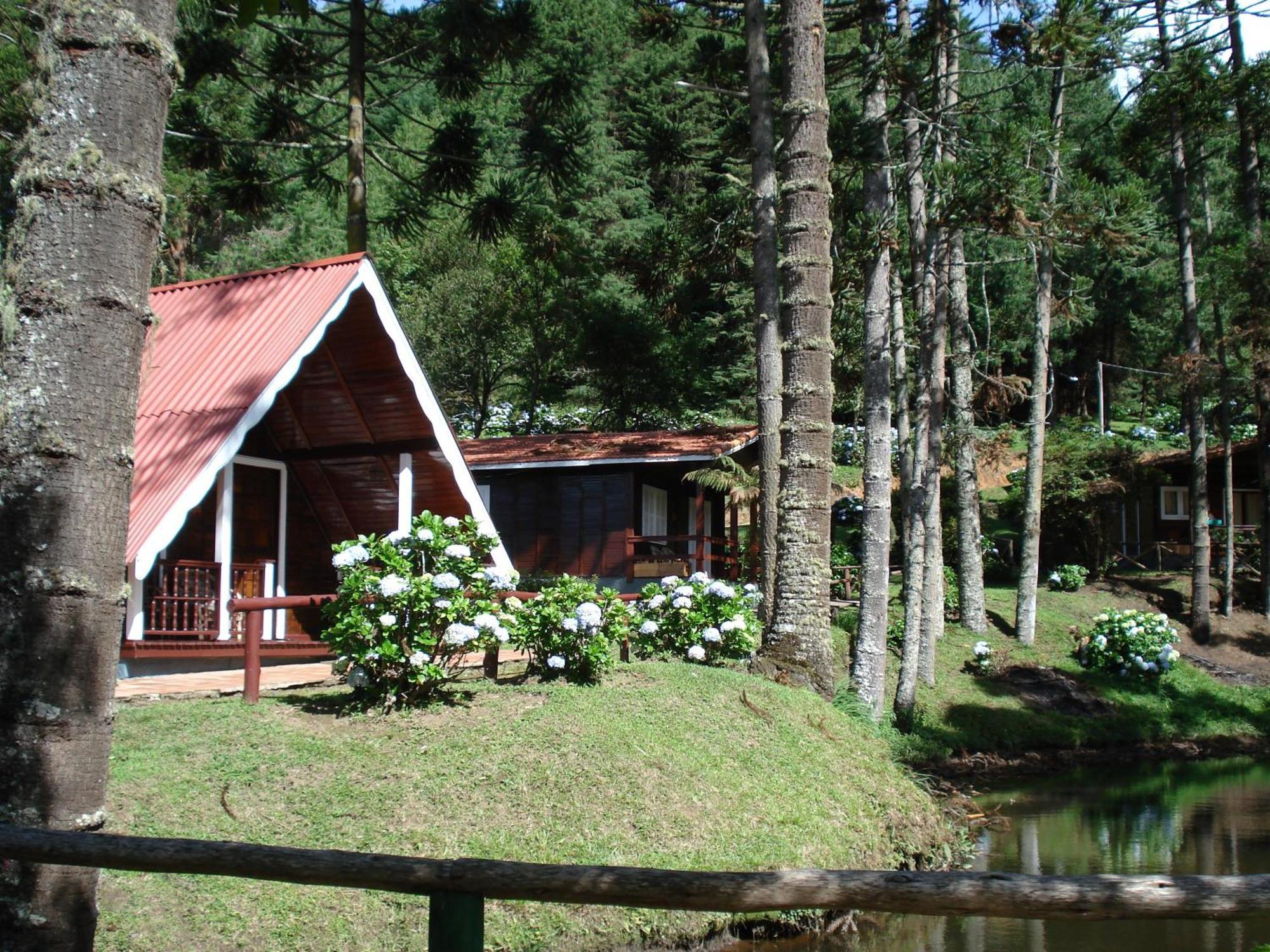 Hotel Fazenda Floresta Negra Monte Verde  Rom bilde