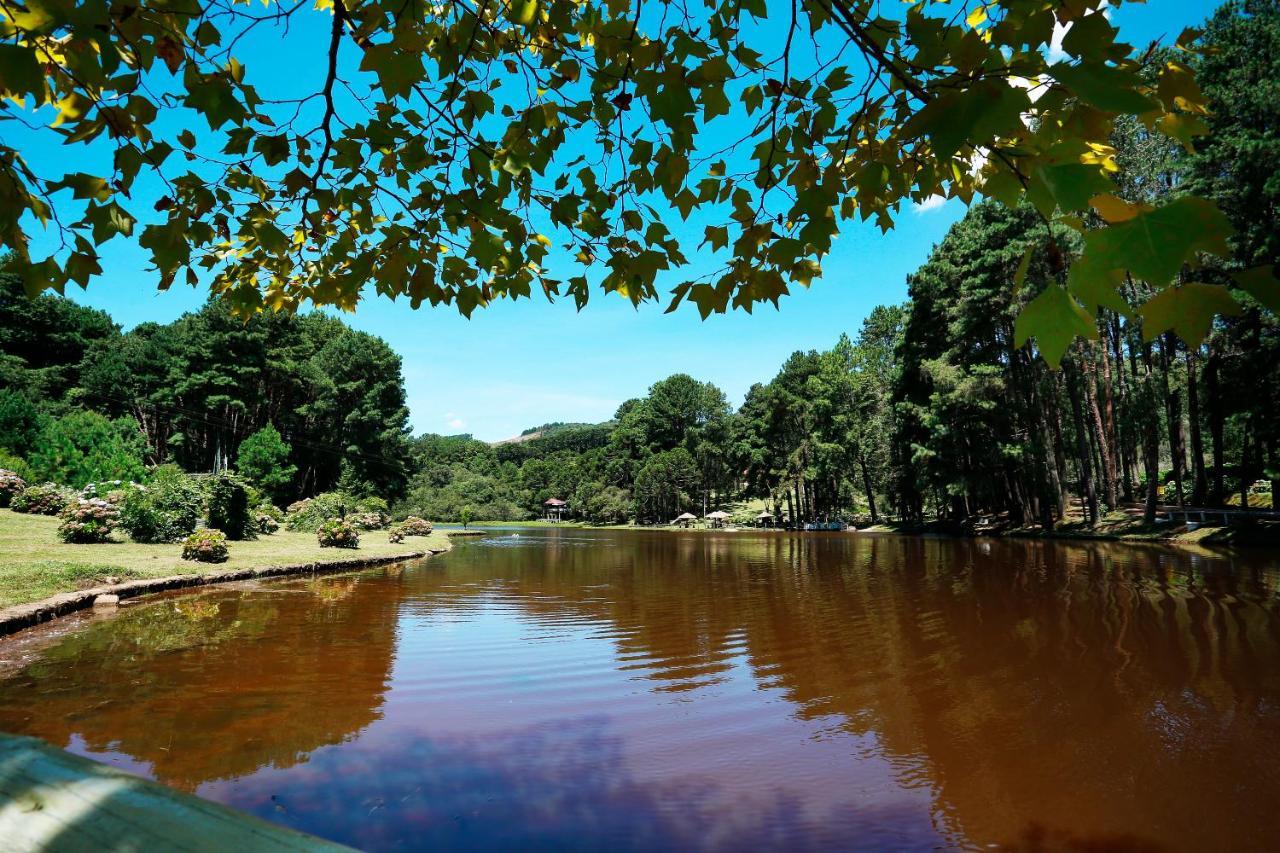 Hotel Fazenda Floresta Negra Monte Verde  Eksteriør bilde