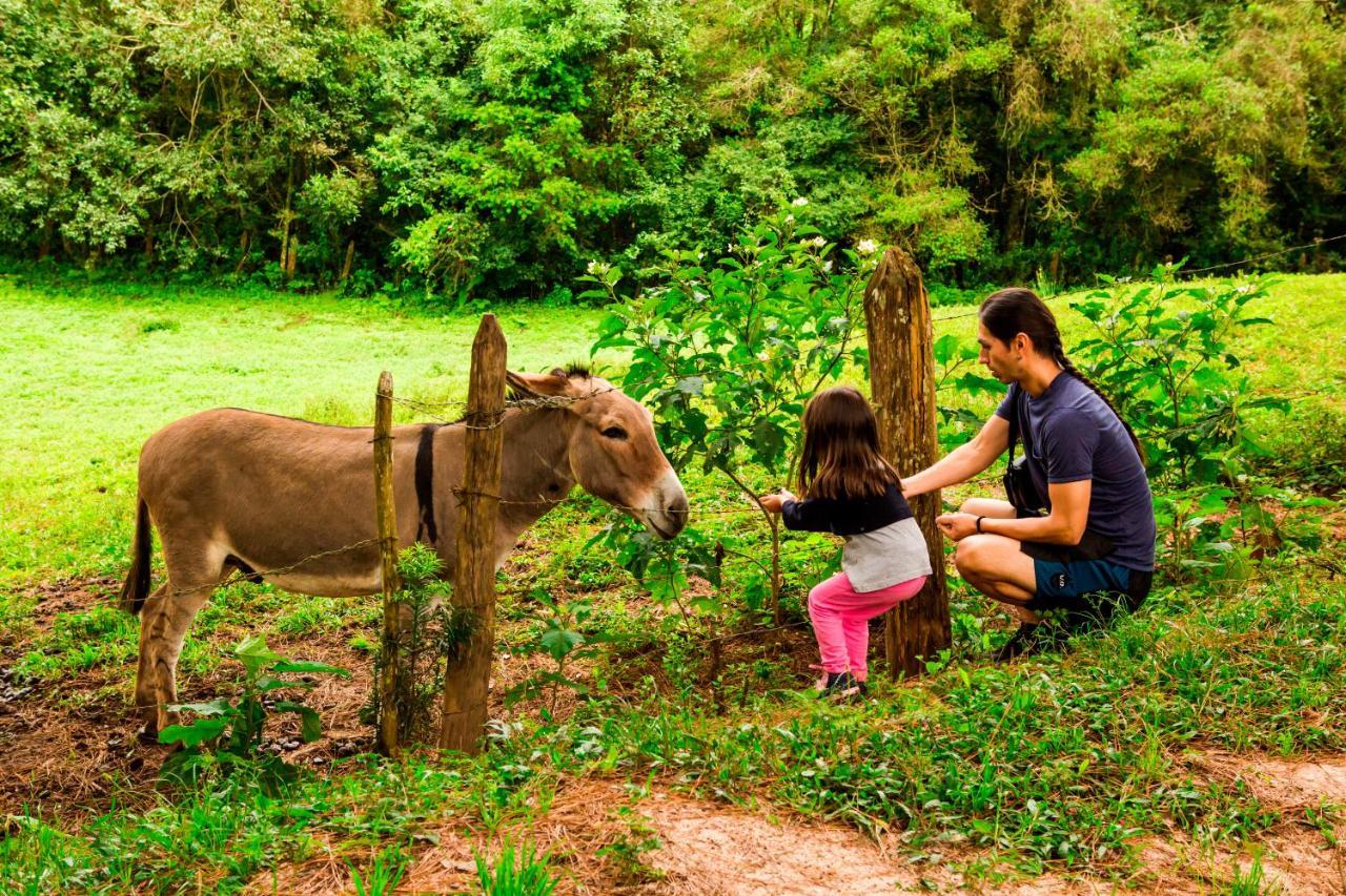 Hotel Fazenda Floresta Negra Monte Verde  Eksteriør bilde