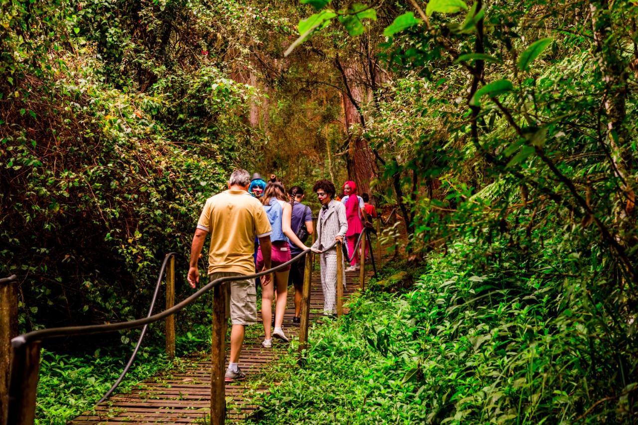 Hotel Fazenda Floresta Negra Monte Verde  Eksteriør bilde
