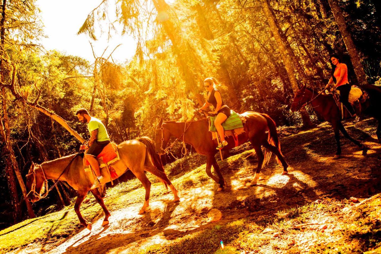 Hotel Fazenda Floresta Negra Monte Verde  Eksteriør bilde