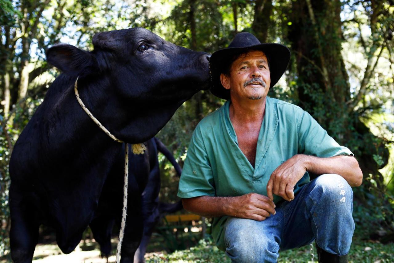Hotel Fazenda Floresta Negra Monte Verde  Eksteriør bilde