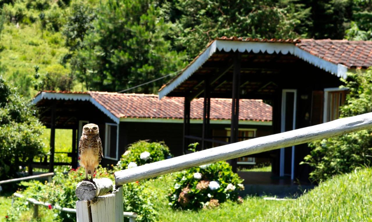 Hotel Fazenda Floresta Negra Monte Verde  Eksteriør bilde