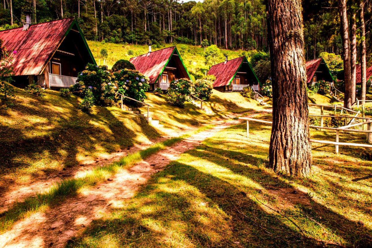 Hotel Fazenda Floresta Negra Monte Verde  Eksteriør bilde