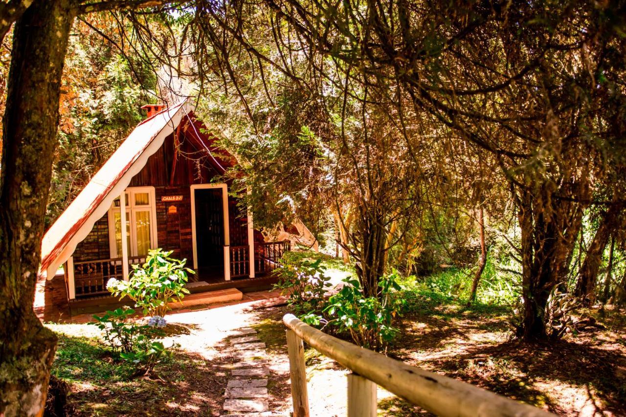 Hotel Fazenda Floresta Negra Monte Verde  Eksteriør bilde