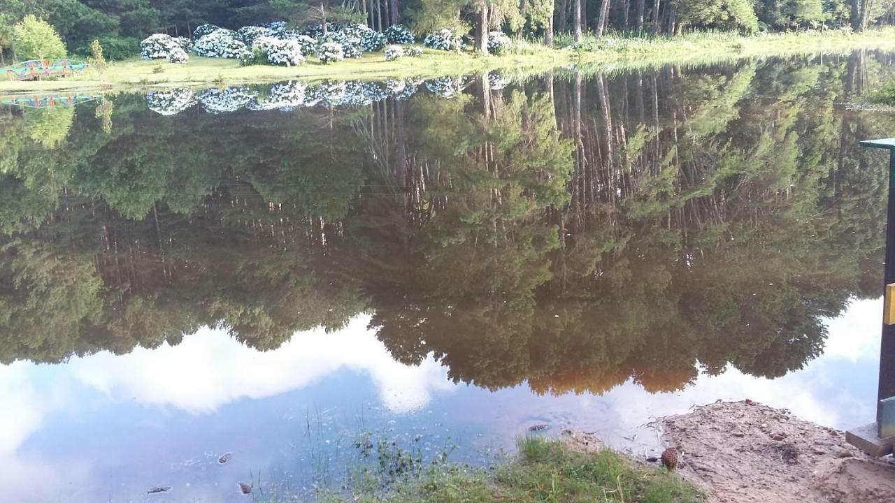 Hotel Fazenda Floresta Negra Monte Verde  Eksteriør bilde